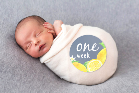 Baby Boy or Girl Monthly Printable: Top Print Templates