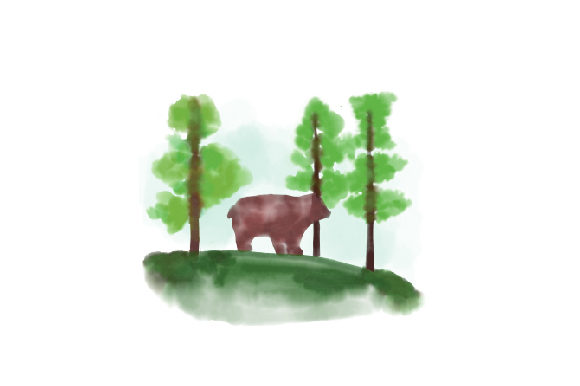 Bear Surrounded by Pine Trees Watercolor for Nature Amp