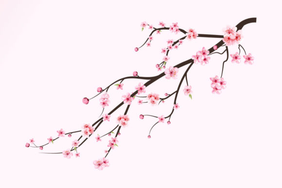 Cherry Blossom Branch with Sakura Flower: A Designer's Review