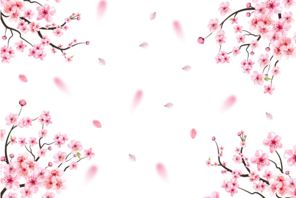 Cherry Blossom Vector: Premium Graphic Templates