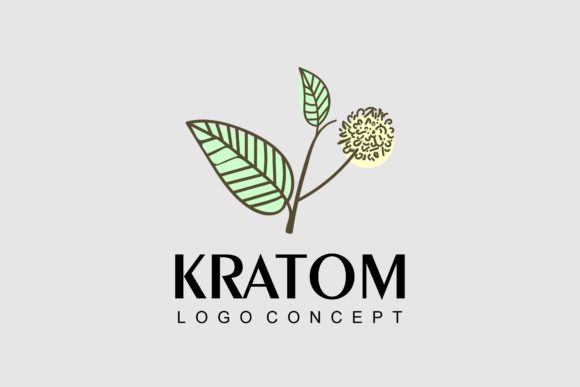 Review: Hand Drawn Ratom Botanical Logo Concept