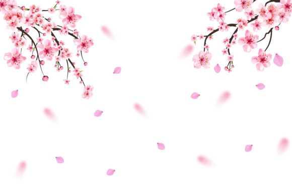 Review: Realistic Cherry Blossom Flower Falling Design